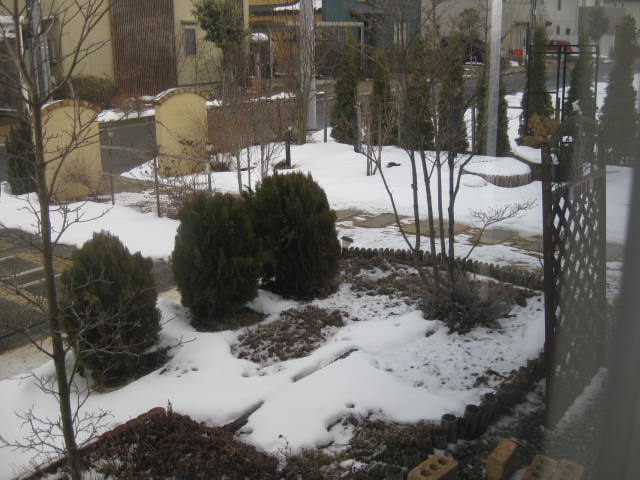 IMG_0360.JPG