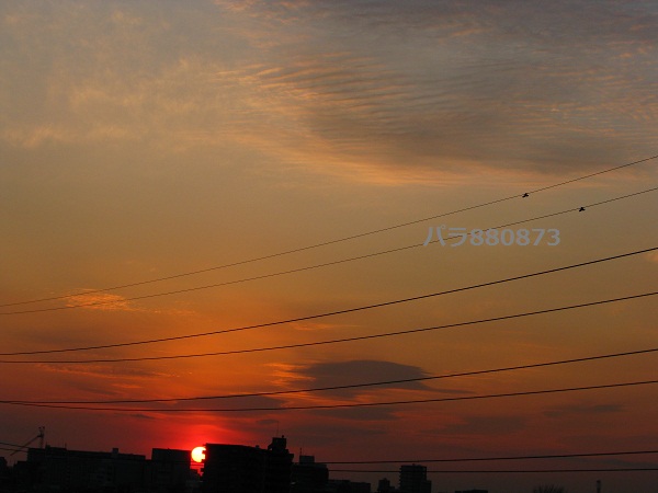 IMG_0599 - コピー.JPG