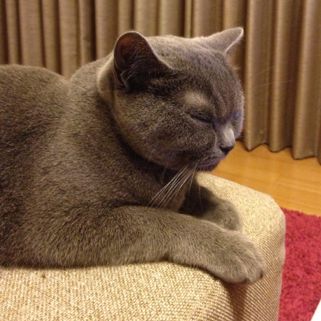 rblog-20130511193959-00.jpg