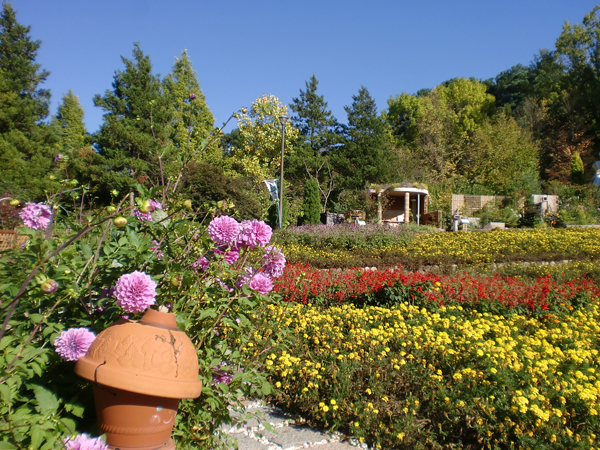 花の文化園.jpg