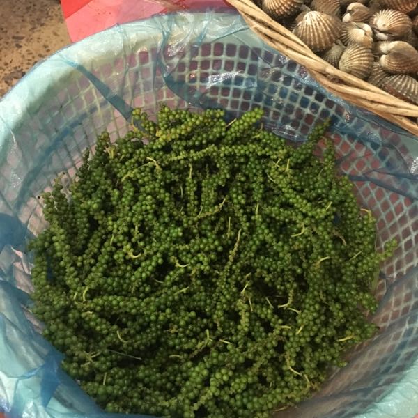 rblog-20161004193923-02.jpg