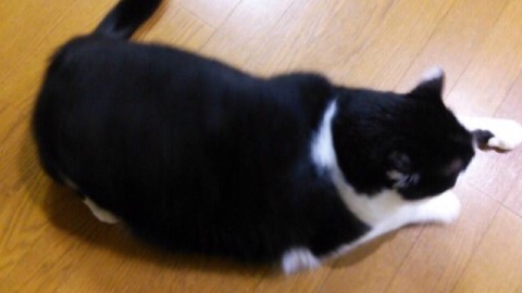 image.jpg