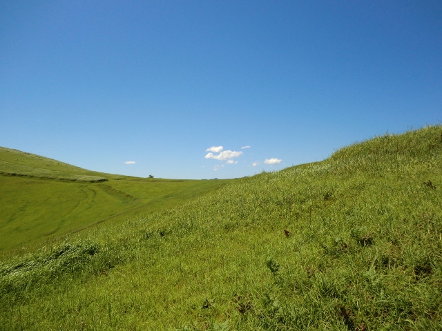 010 (640x480).jpg