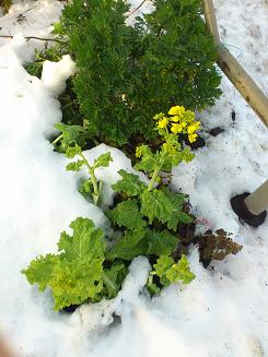 140209平野さん雪森ビル 009.jpg