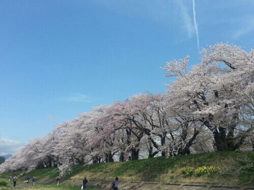 rblog-20160423150446-06.jpg