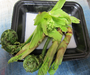 山菜