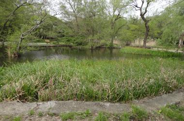 DSC04762_convert_20170422105637.jpg