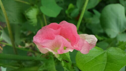rblog-20160911193743-06.jpg