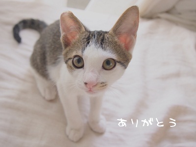 P8151476-1のコピー-1.jpg