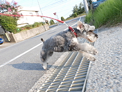 conv0740.JPG