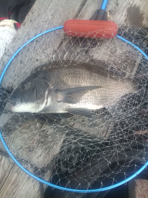 20120804094129.jpg