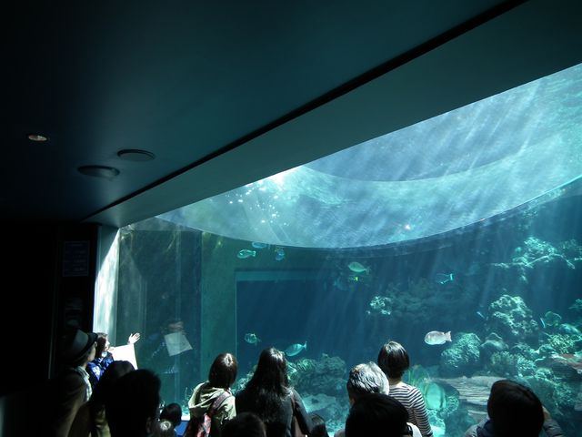 DSCF9163.JPG