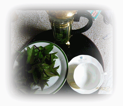 ペパーミント茶１