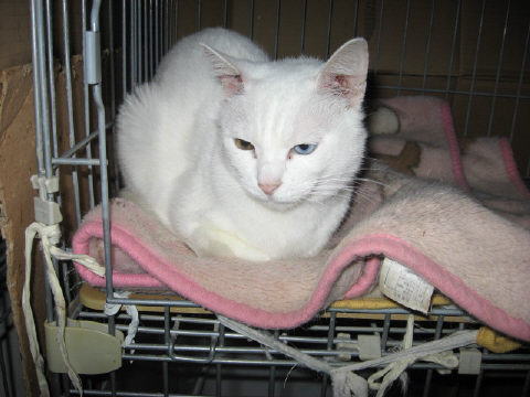 161003.jpg