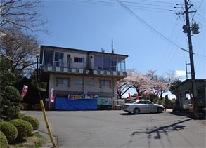桜19.jpg