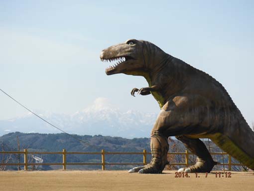 1ﾁﾗﾉ　大山DSCF4947.JPG