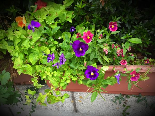 rblog-20160627205604-02.jpg