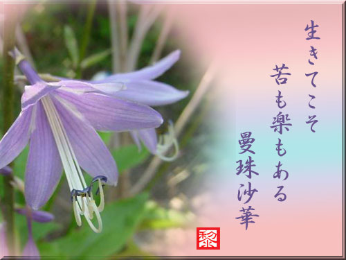 川柳 漢字 俳句 花 の記事一覧 毎日を有意義に過ごそう 楽天ブログ
