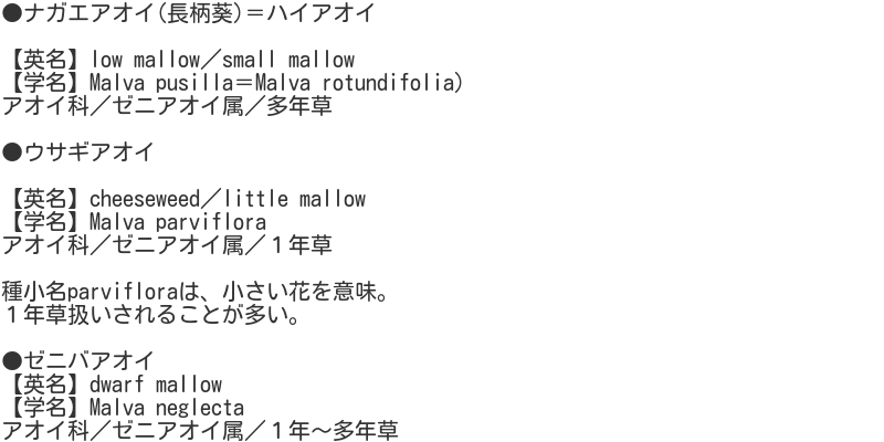 treemallow1