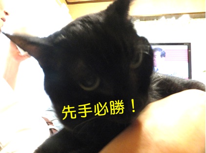 20120923_3.jpg