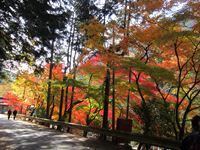 IMG_3851_R.JPG