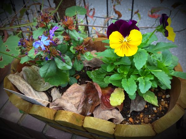 rblog-20151029145804-03.jpg