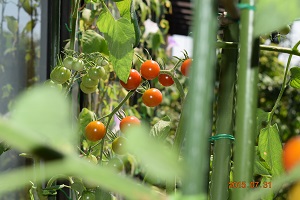 DSC_0069.JPG