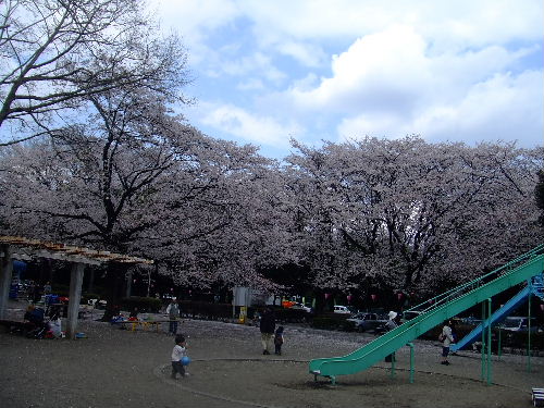かしの森公園６