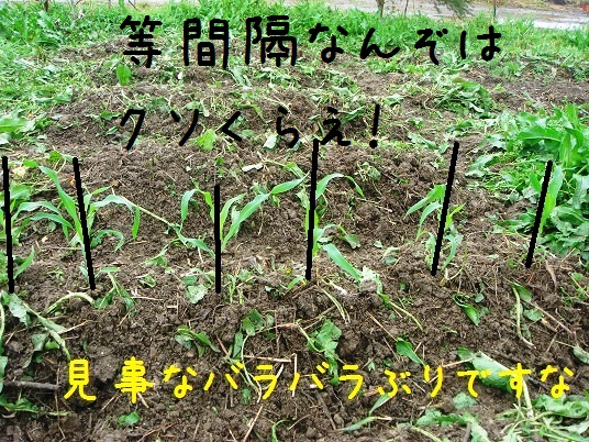 バラバラやんか.jpg