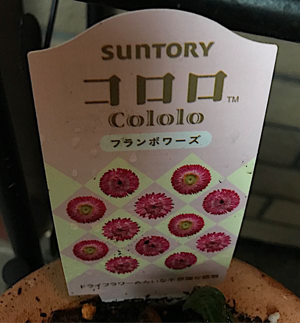 rblog-20180328191552-09.jpg