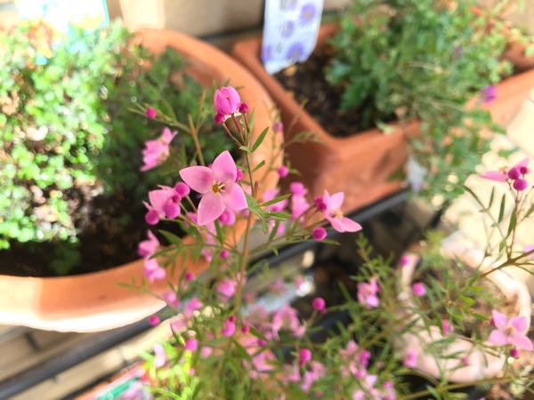 rblog-20190401164244-07.jpg