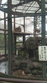 小田原動物園.jpg