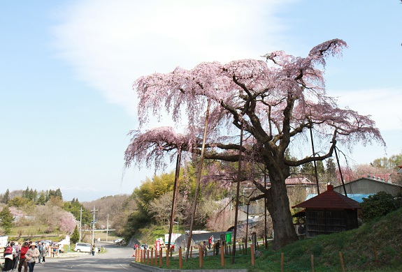 150419_49.jpg