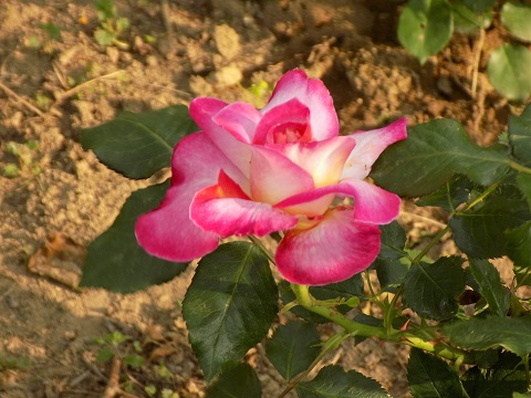 DSCN0192.JPG