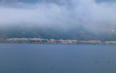 P1030426.JPG