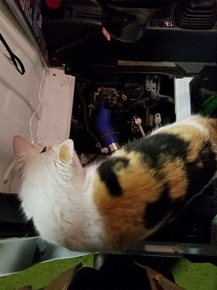 rblog-20180316100231-00.jpg