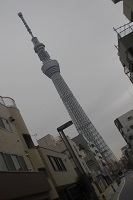CIMG0080.JPG