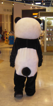 panda4.jpg