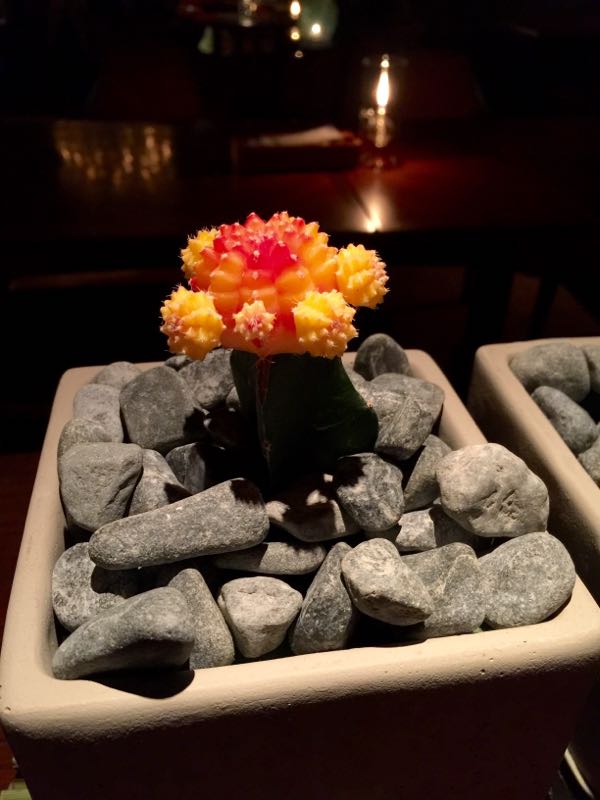 rblog-20160108215927-01.jpg