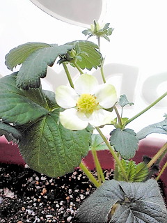 20120322142721.jpg