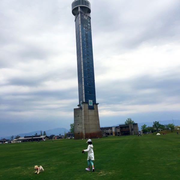rblog-20160501181215-01.jpg