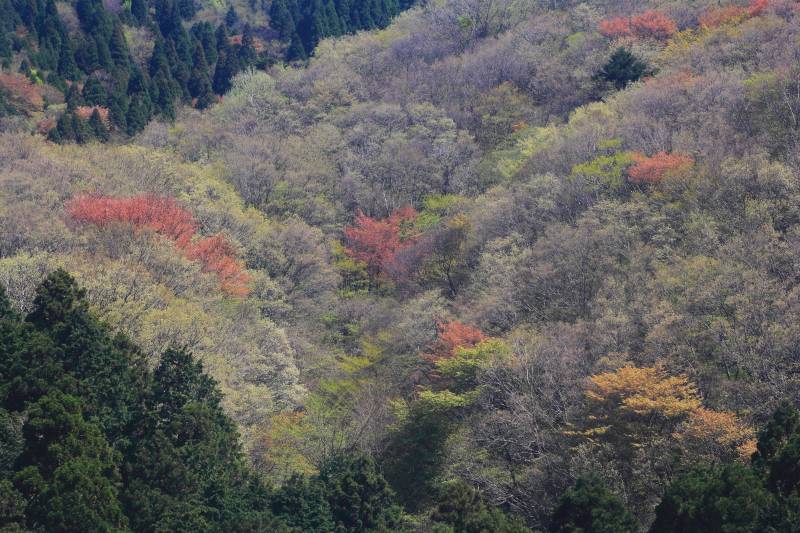 金剛山_002.jpg