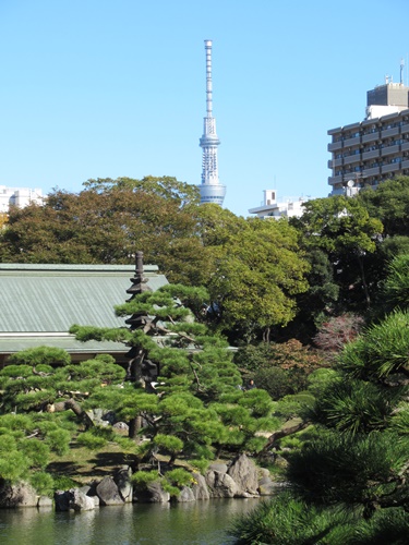 清澄庭園にて