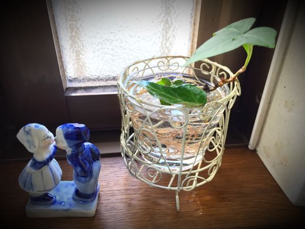 rblog-20151231120109-01.jpg