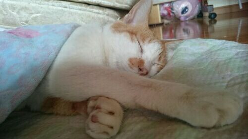 rblog-20161126100835-01.jpg