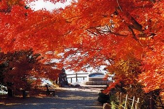 紅葉の寒霞渓