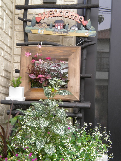 DSCN1719.JPG