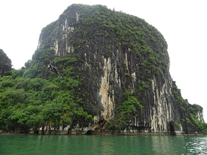 DSC09519_R.JPG