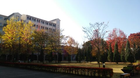 rblog-20141124095348-00.jpg