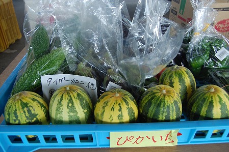 s-DSC_0397.jpg